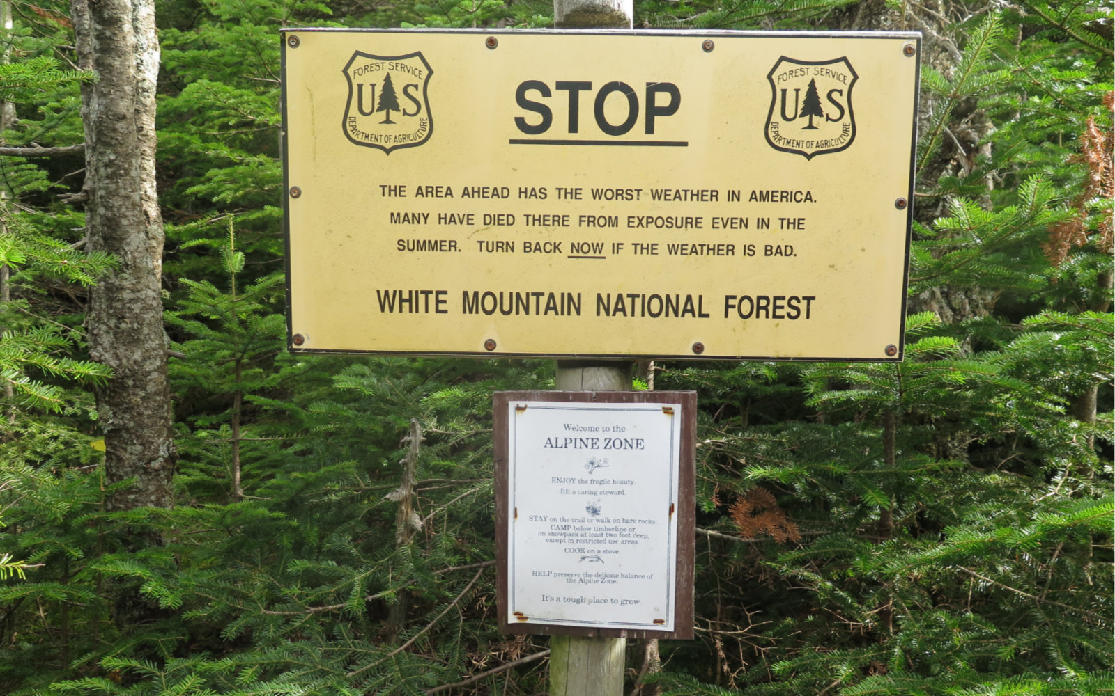 Lowes-Path-Worst-Weather-Sign-Mt-Adams-20191012