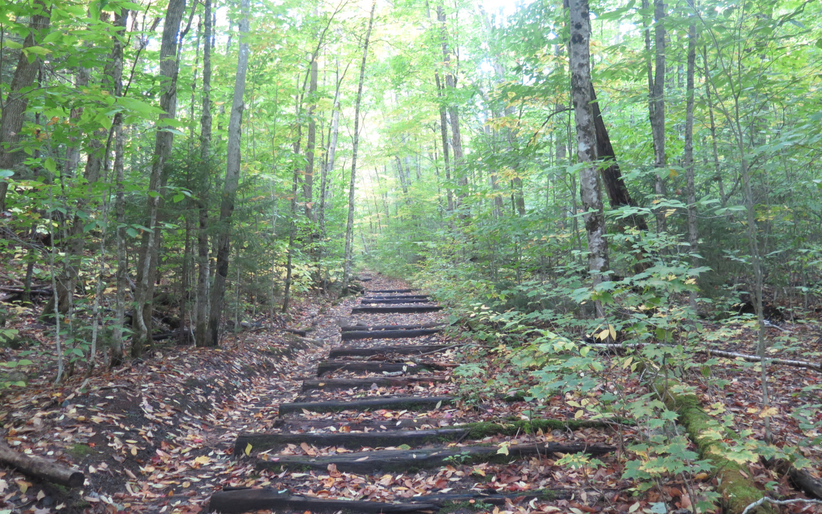 Rail-Ties-Bondcliff-Trail-Pemi-Loop-201910xx