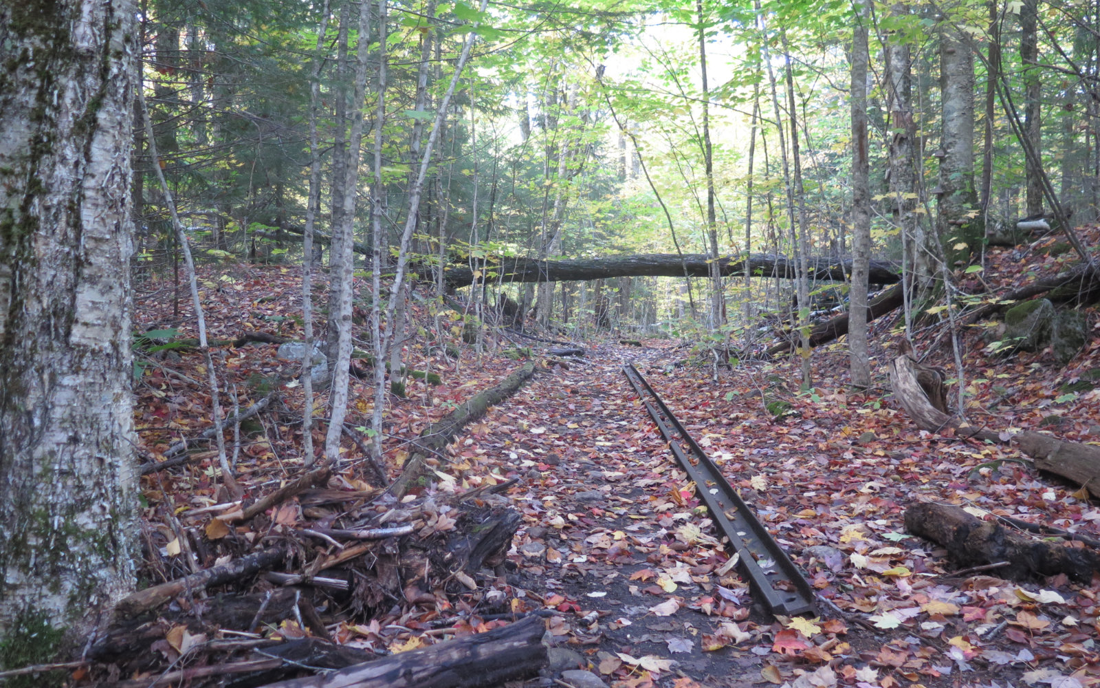 Railroad-Track-Bondcliff-Trail-Pemi-Loop-201910xx