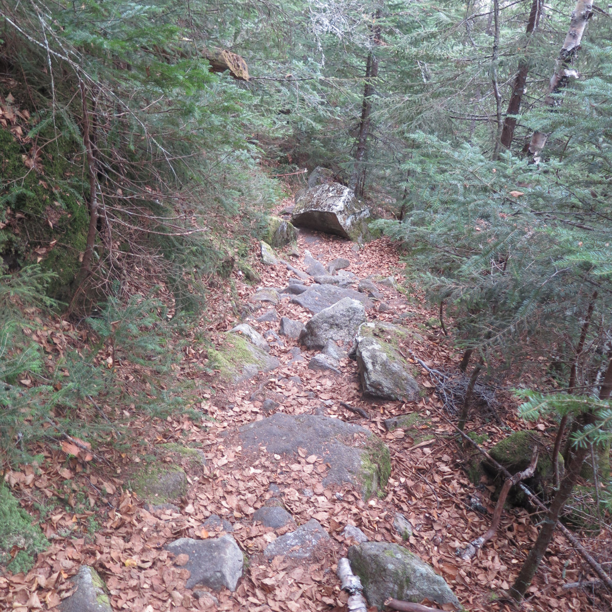 Rocky-Ground-Greenleaf-Trail-20191016