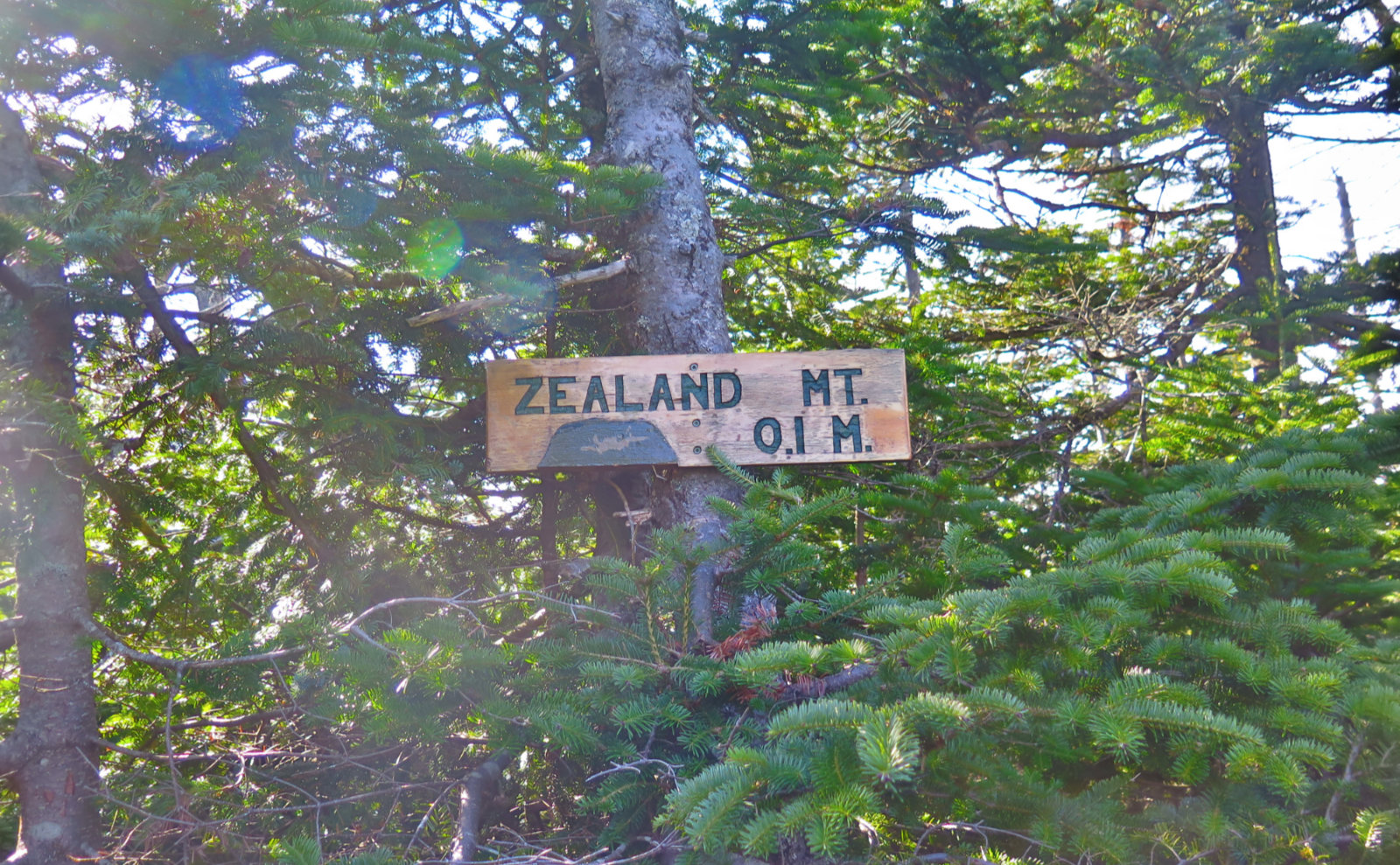 Spur-Sign-Zealand-20191024