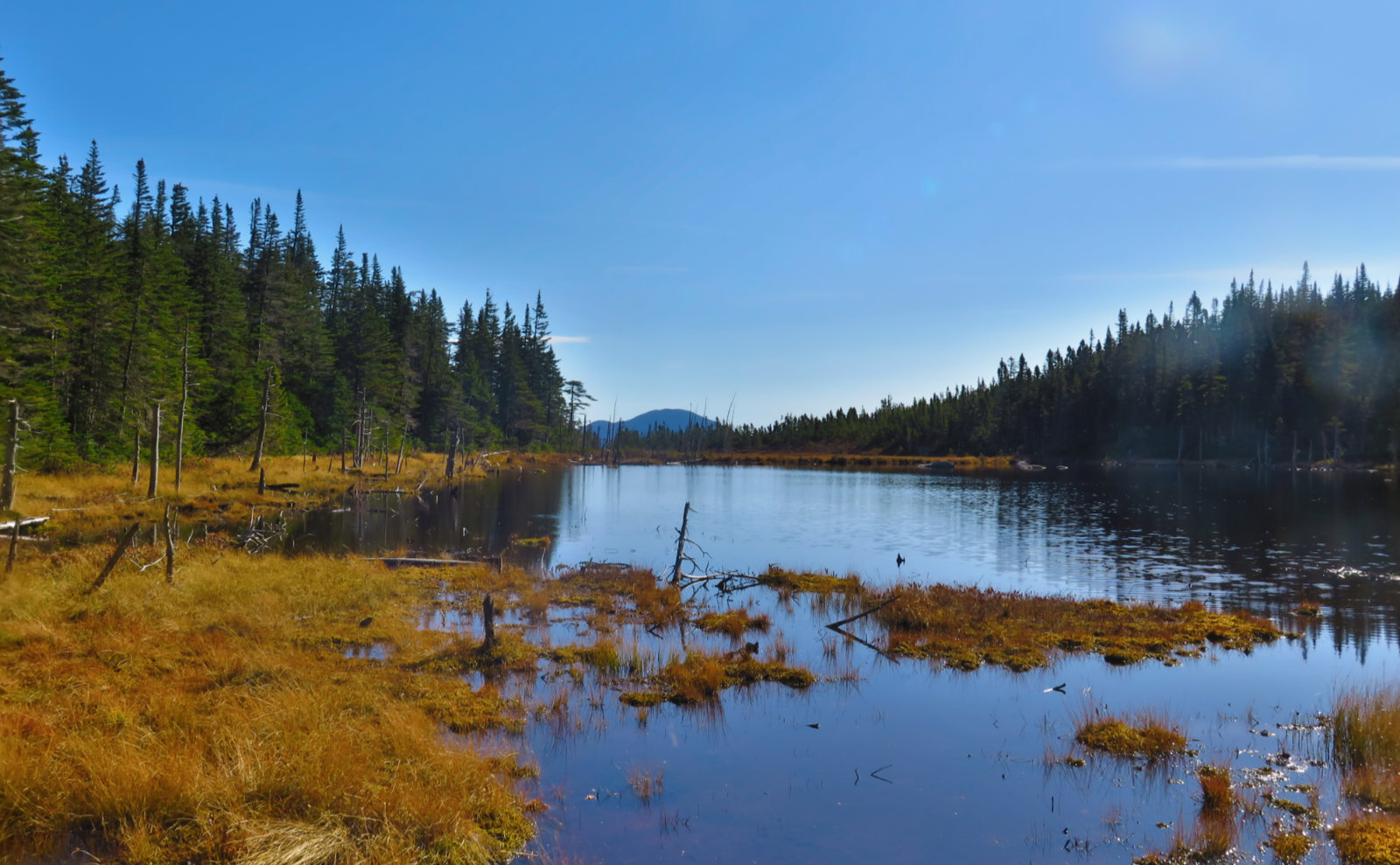 Zeacliff-Pond-Carrigain-Zealand-20191024