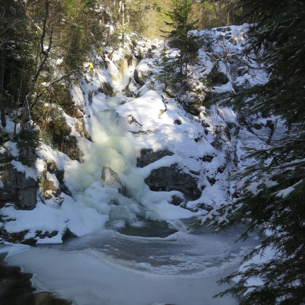 Gibbs-Falls-Pierce-20191123