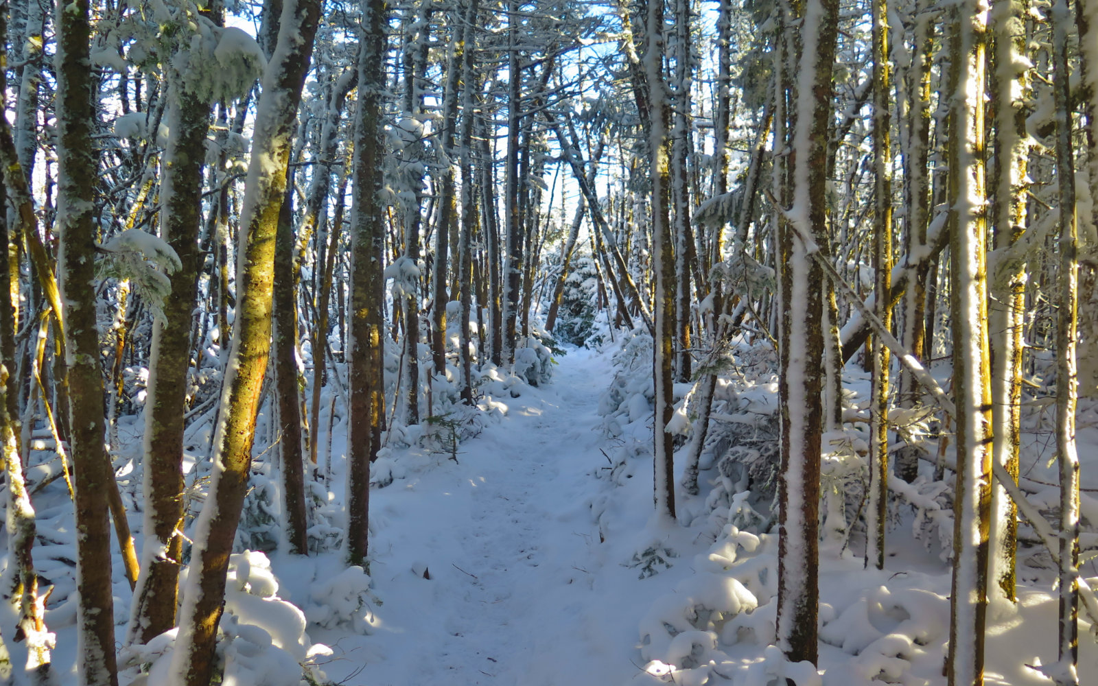 Higher-Trail-Hancock-20191109