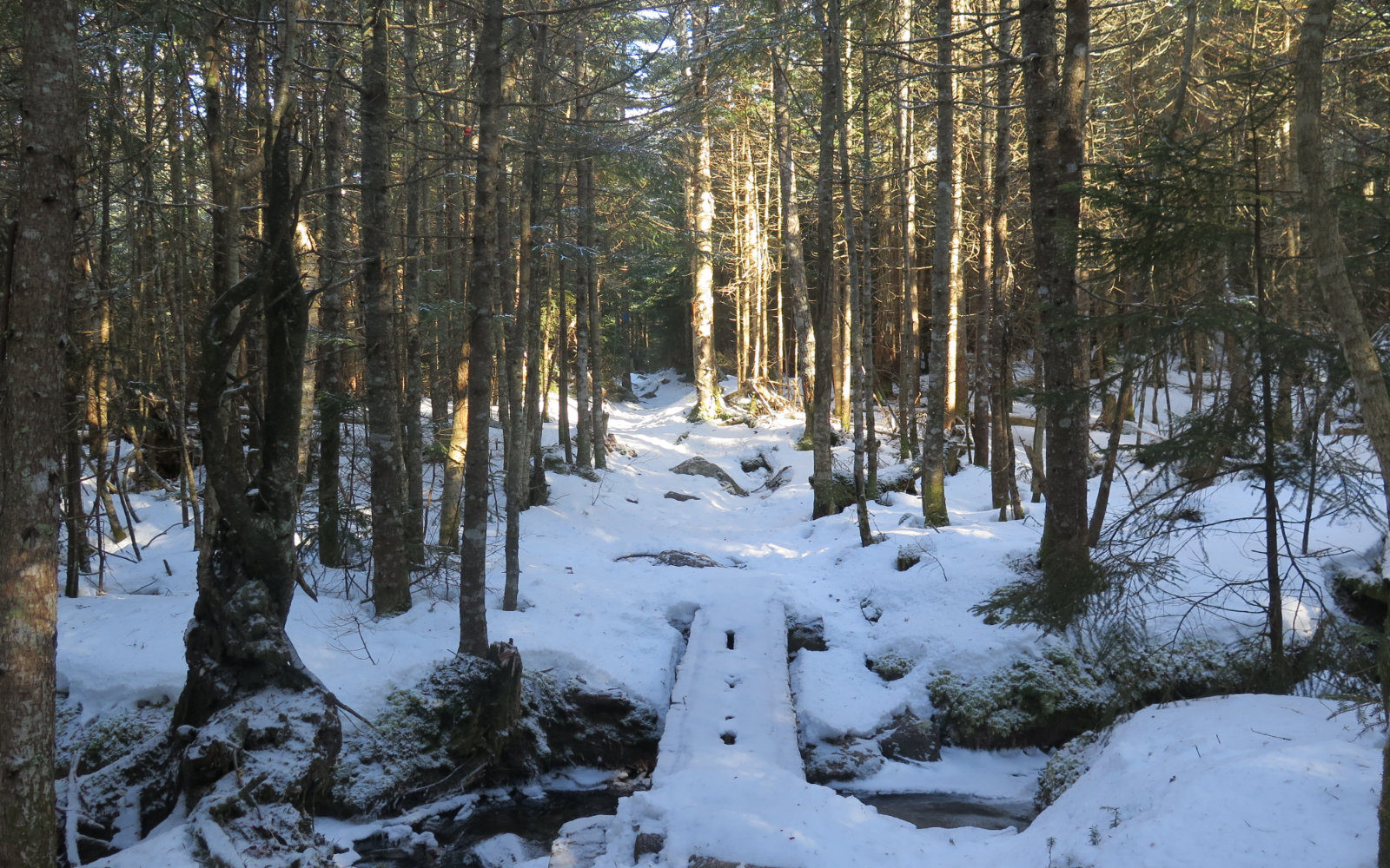 Bog-Bridge-Kinsman-20191212