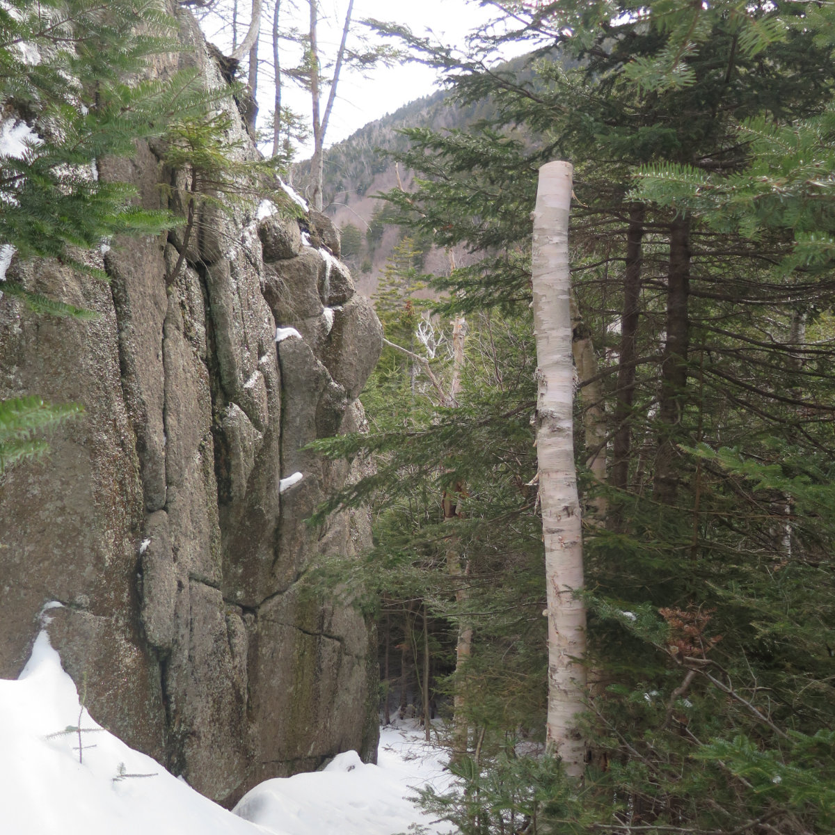 Oliverian-Trail-Square-Ledge-Granite-Wall-20200326