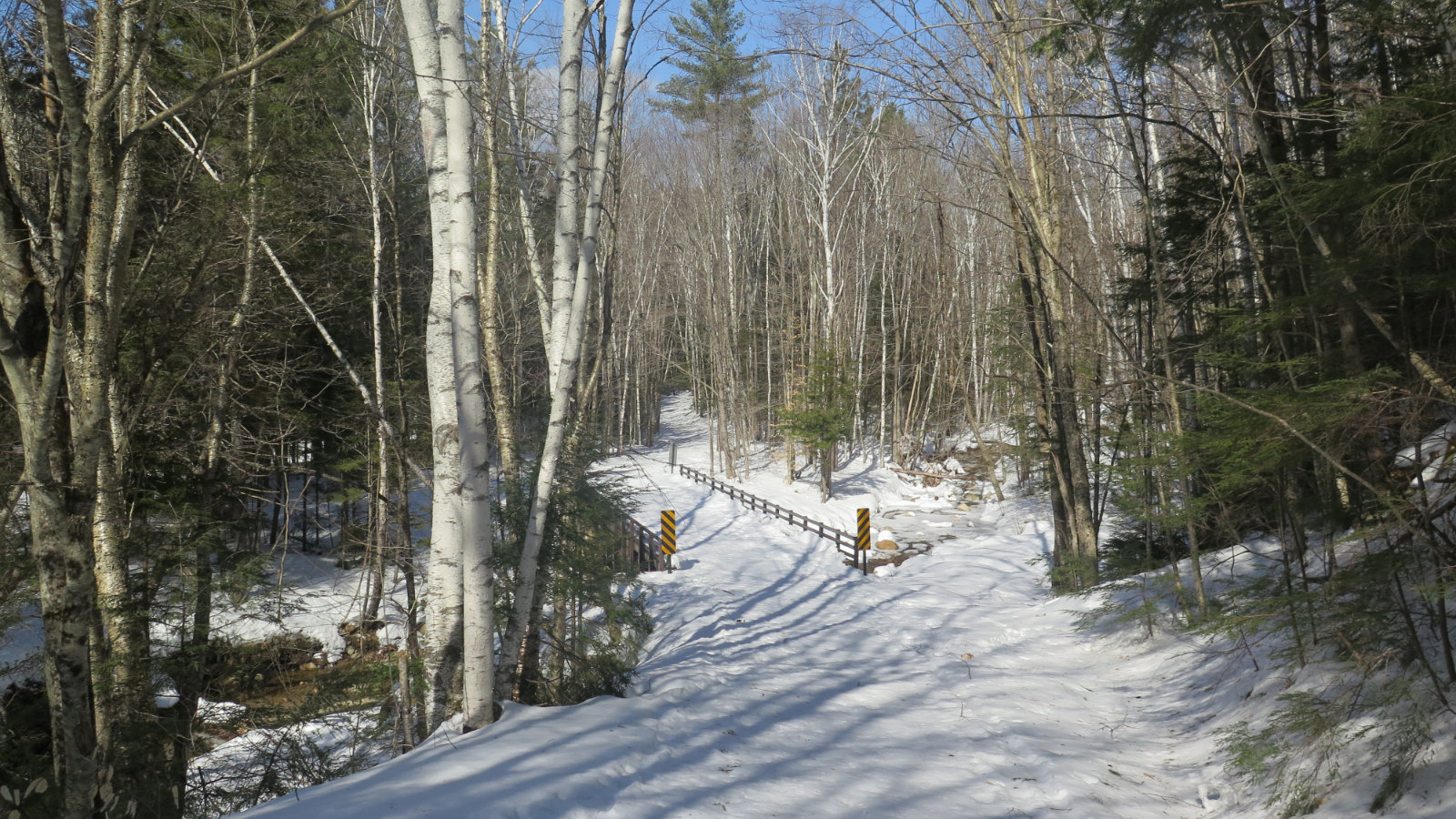 Pemi-East-Side-Bridge-20200303