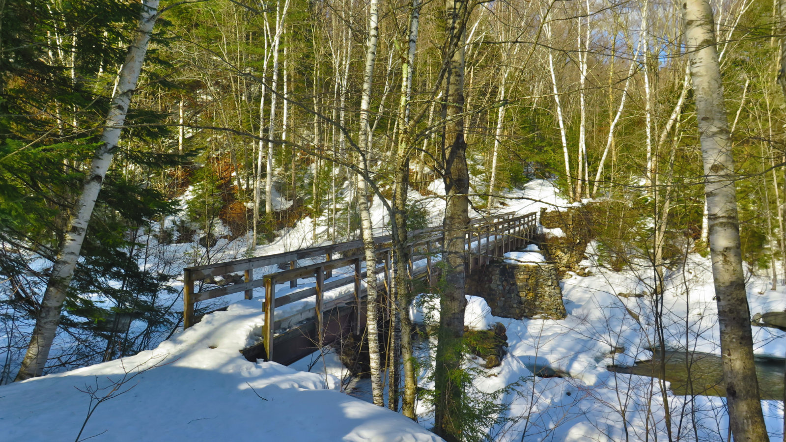 Pemi-East-Side-Franconia-Brook-Bridge-Oblique-20200303