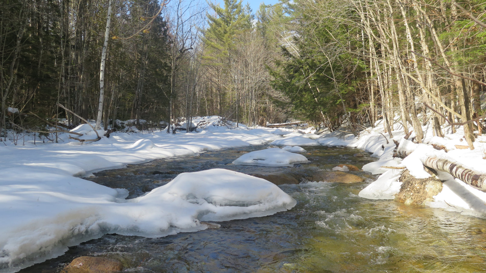 Pemi-East-Side-Pine-Island-Brook-20200303