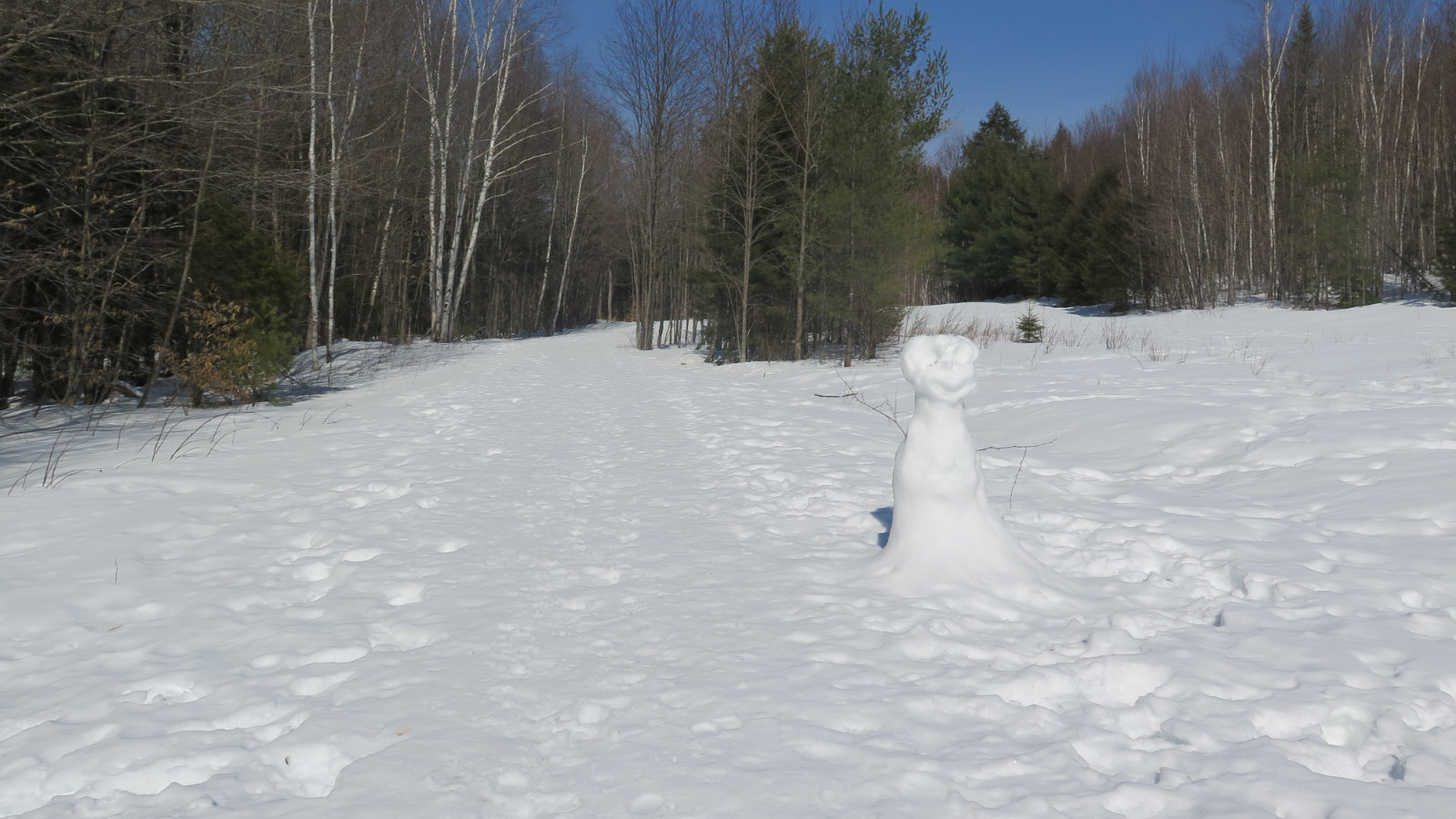 Pemi-East-Side-Snowman-20200303