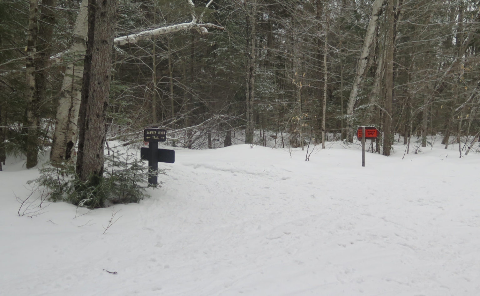 Trip Report Sawyer River Trail Protean Wanderer