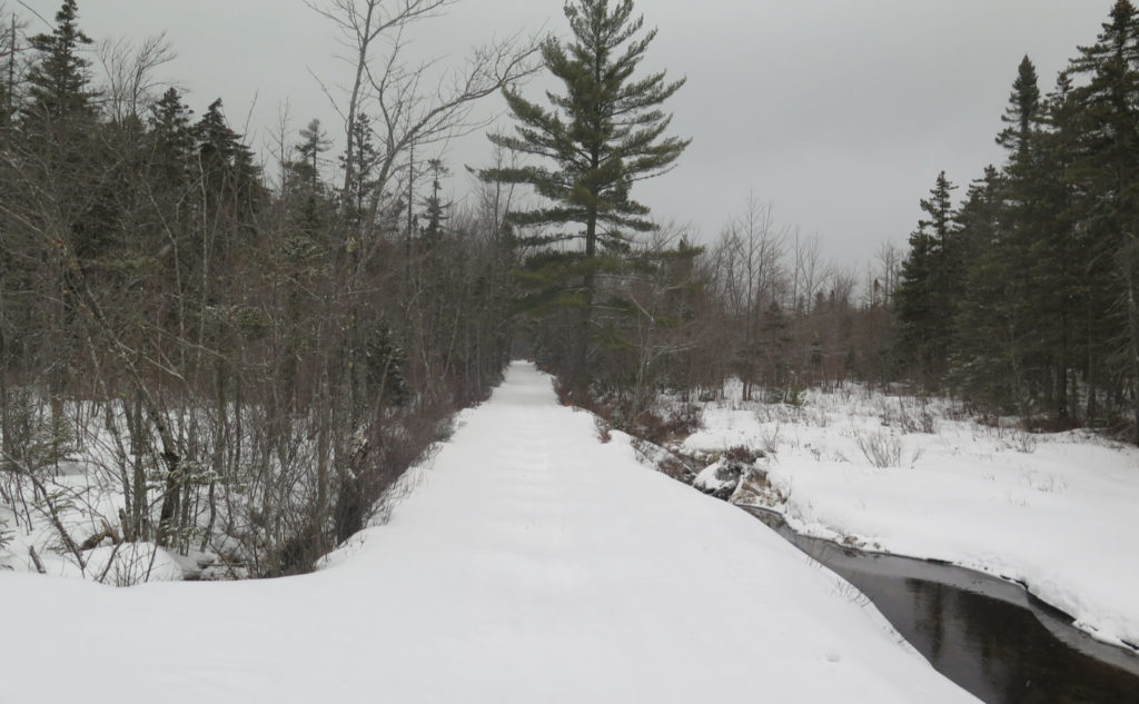 Trip Report Sawyer River Trail Protean Wanderer