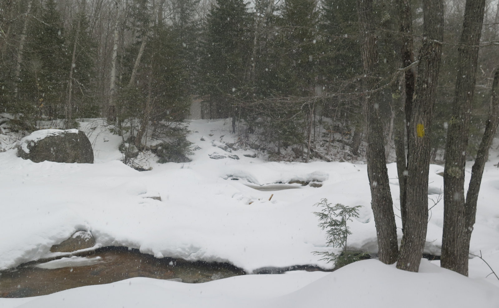 Sawyer-River-Water-Crossing-20200317