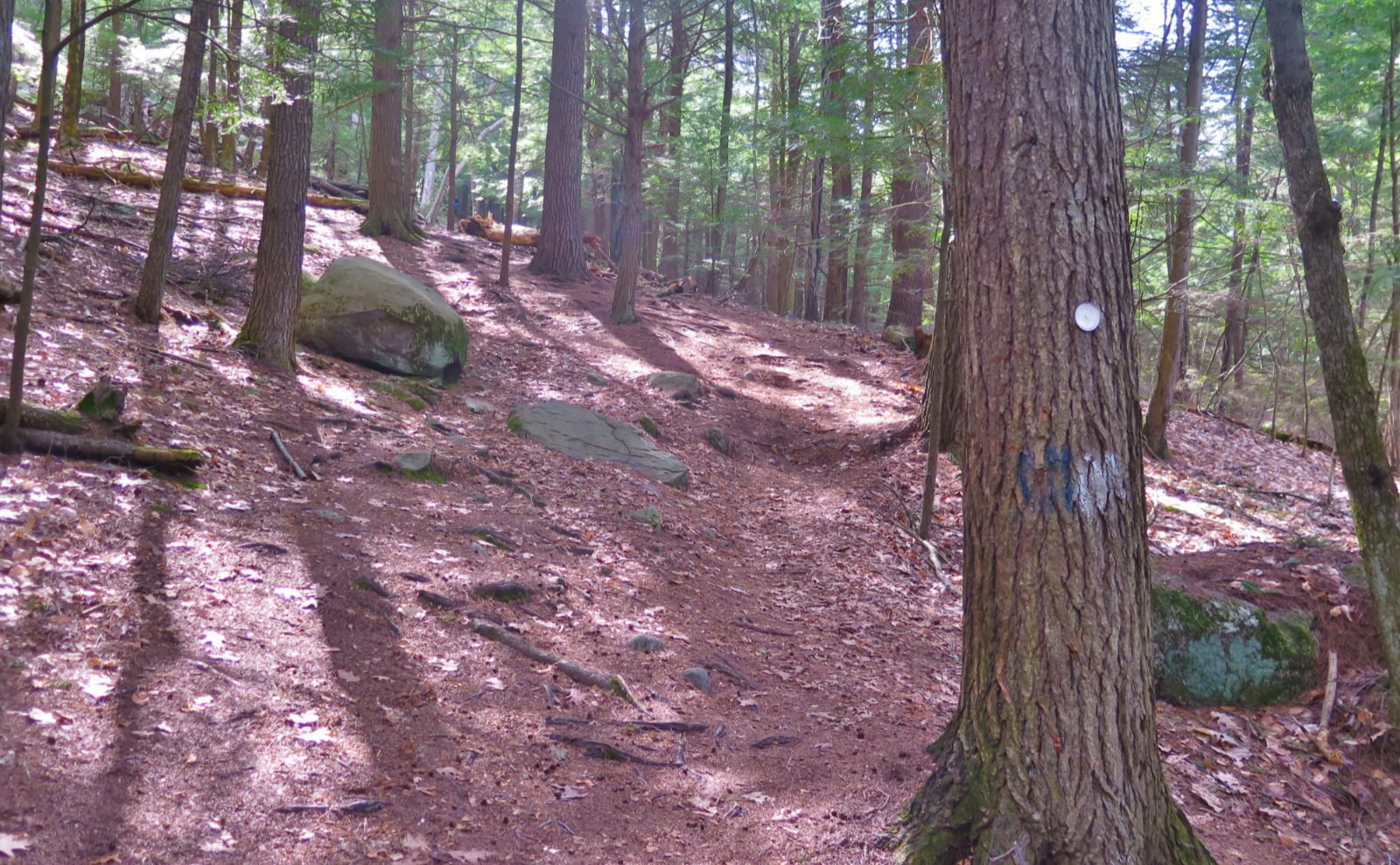 2-Steep-Trail-Uncanoonuc-20200429