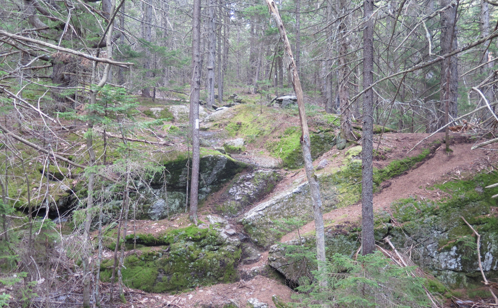 5-Rocky-Footpath-Lovewell-20200420