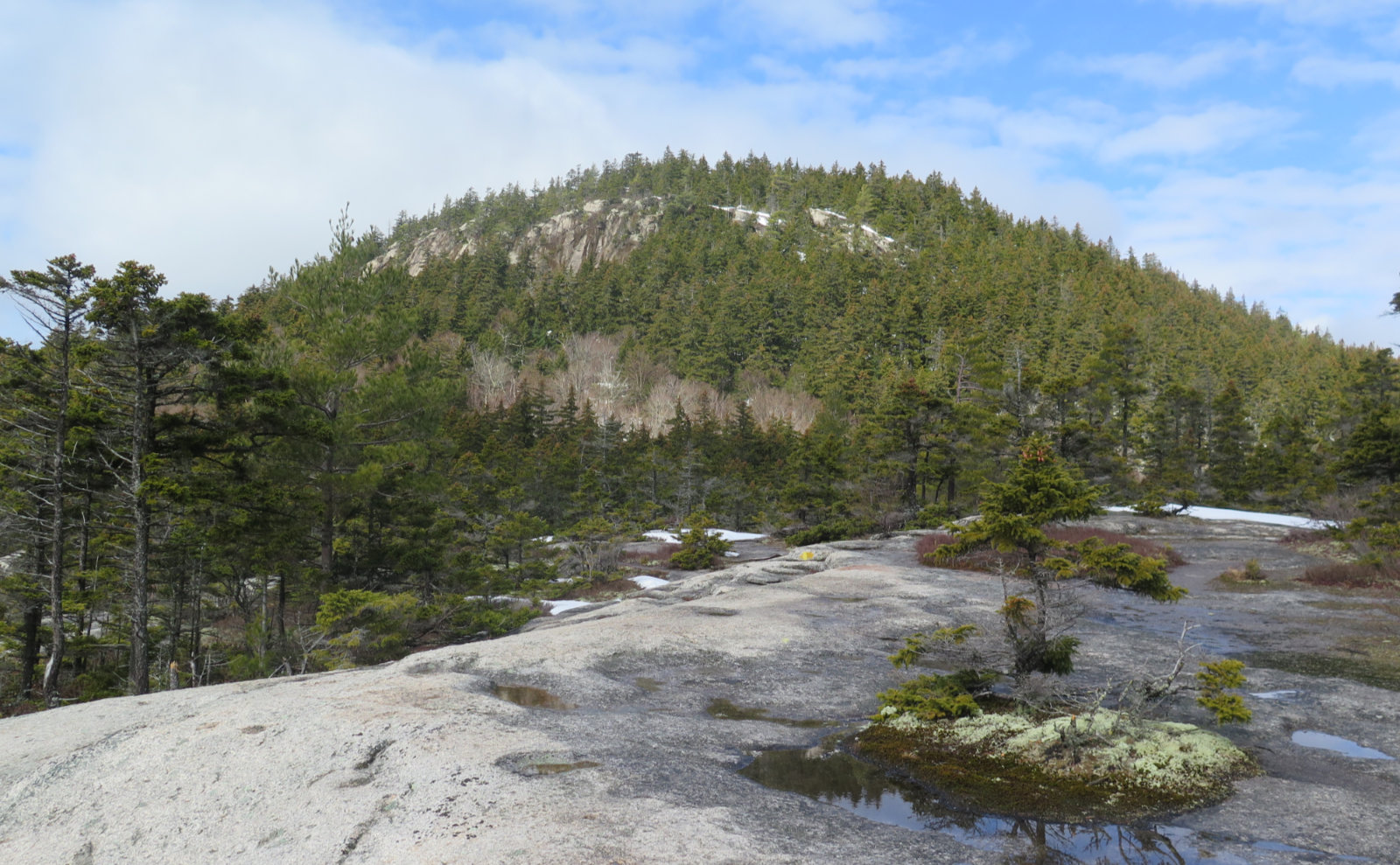 UNH-Hedgehog-Summit-Cliffs-20200404