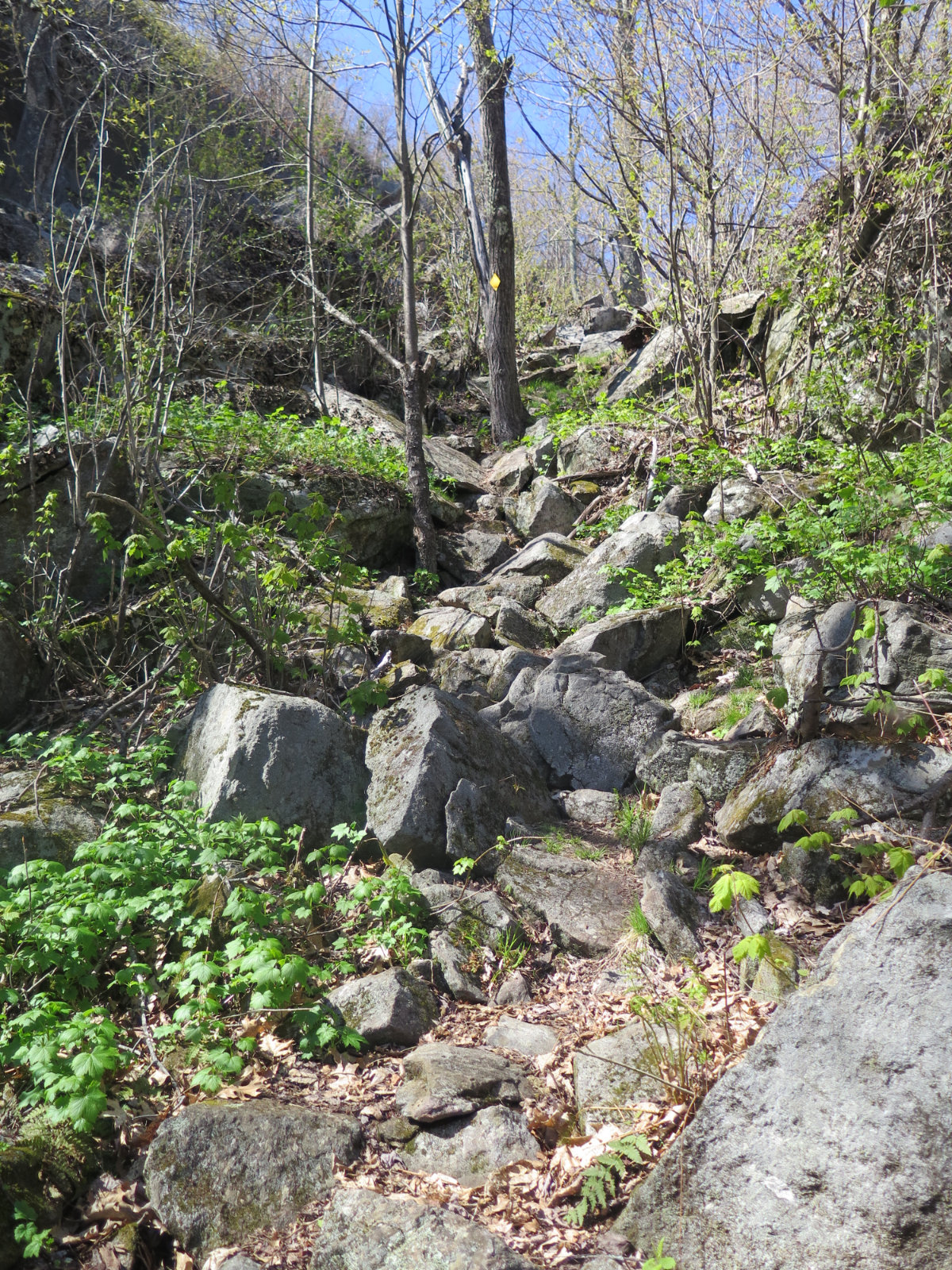 03-Crotched-Rocky-Trail-20200514