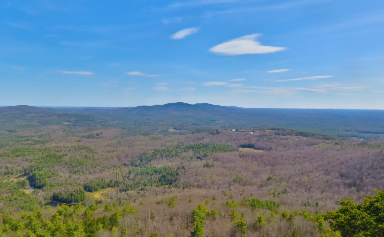 05-Crotched-Pack-Monadnock-20200514