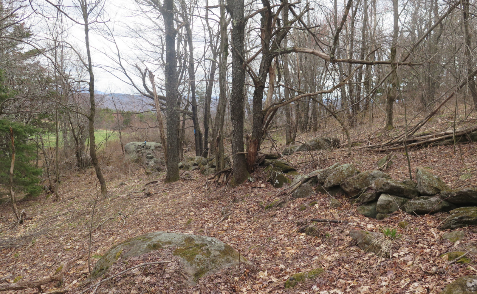 06-Pitcher-Stone-Wall-20200506