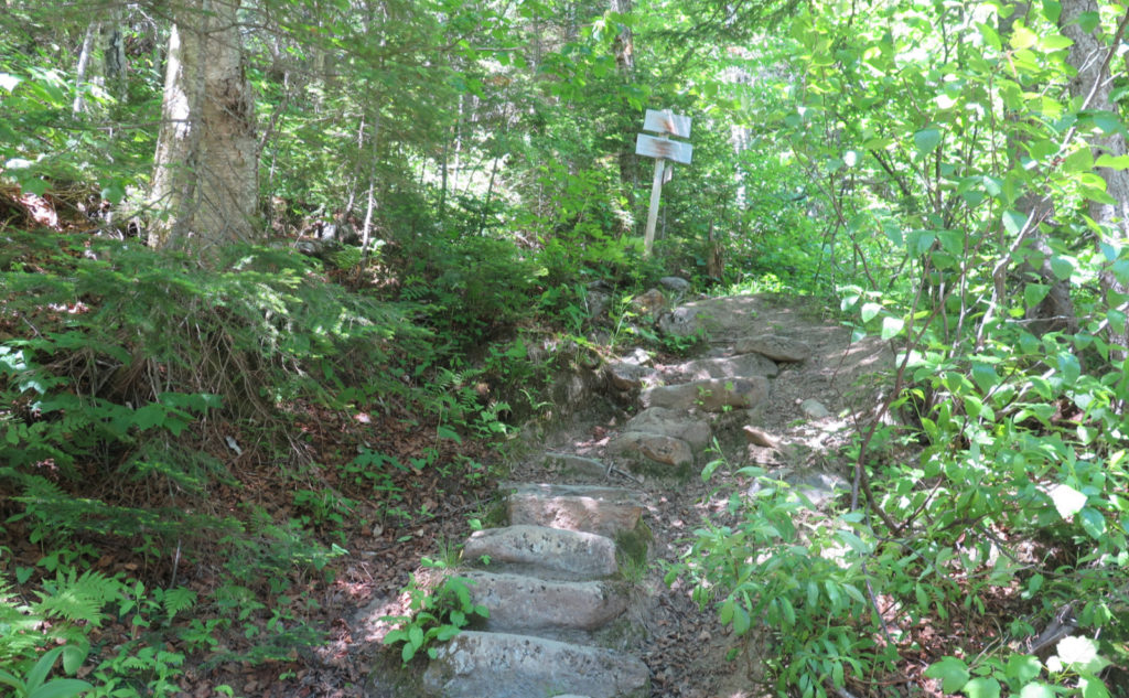 Trip Report Starting Summer on Mt Isolation. Protean Wanderer