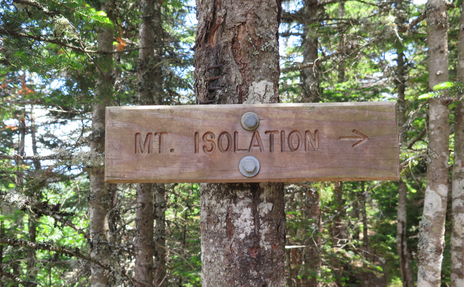 Trail sign for Mt Isolation