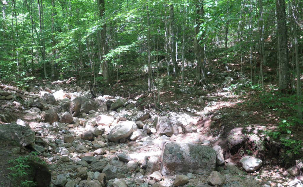 Fording Tecumseh Brook