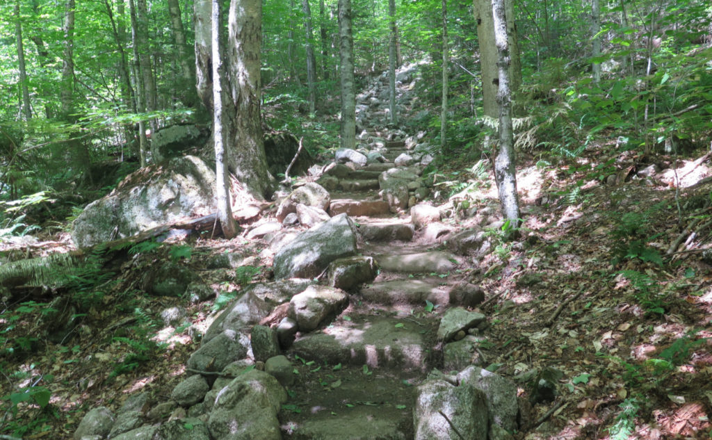 Stone stairs on Tecumseh Trail. 