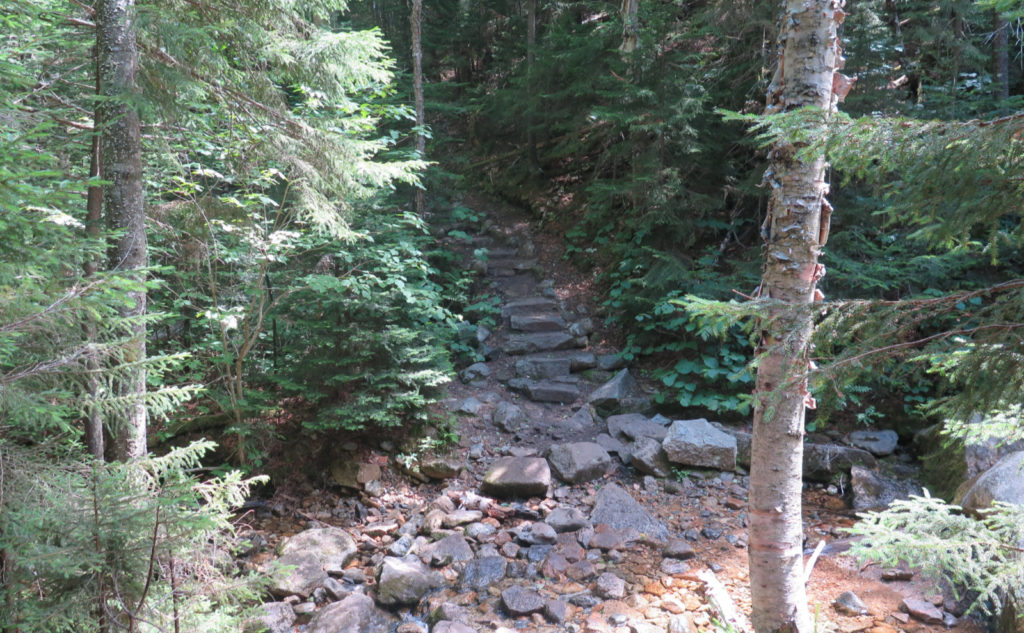 Stone steps on Tecumseh Trail, just after fording Tecumseh Brook.