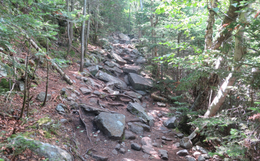 Rugged section of Tecumseh Trail. 