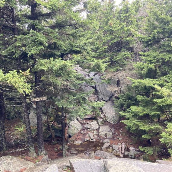 Mt Monadnock Pumpelly Trail