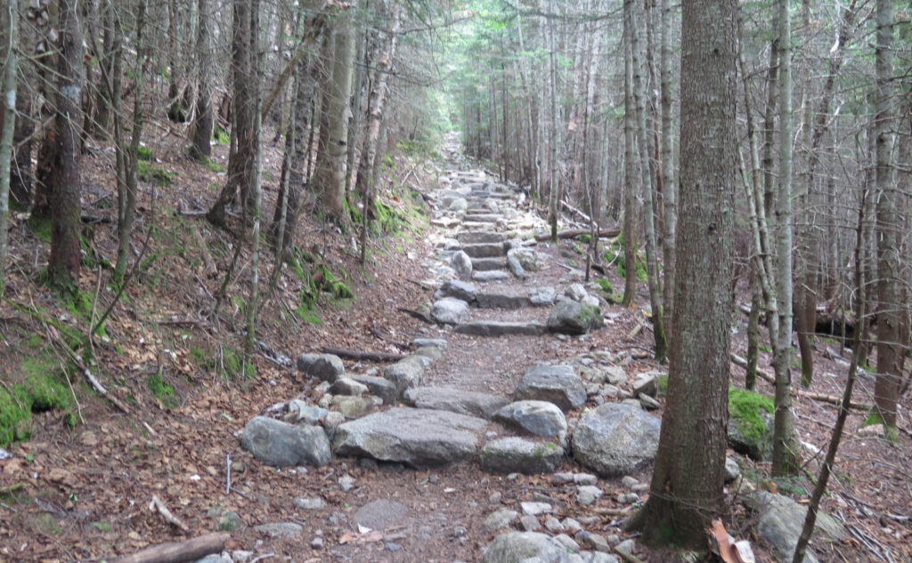 Stone steps on Tecumseh Trail, Mt Tecumseh, Waterville Valley, NH. 