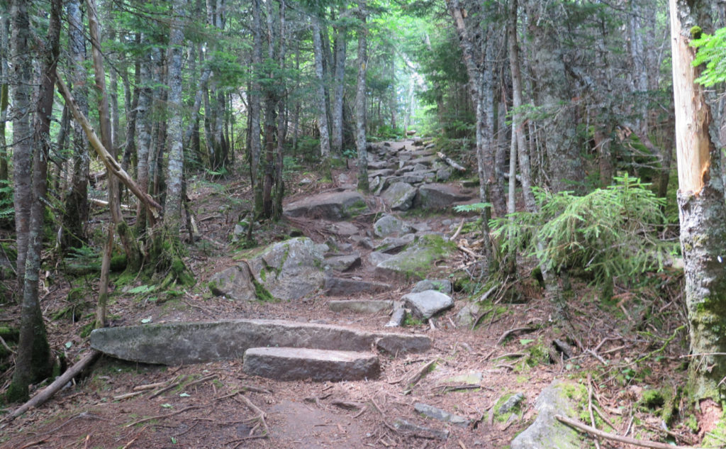 Rocks on Tecumseh Trail. 