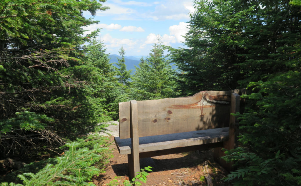 A bench without a view on the Sosman Trail. 