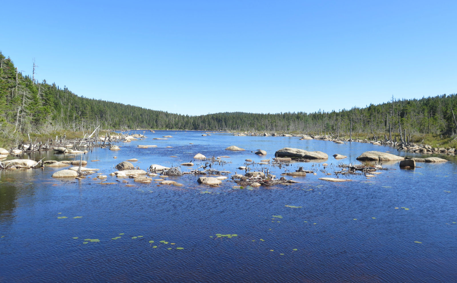 Trip Report Stillness And Solitude Hiking Mt Nancy And Out To Stillwater Junction Protean Wanderer
