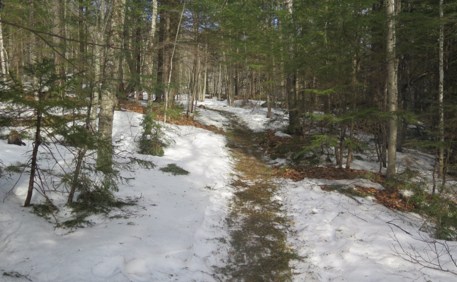 Trip Report An isolated hike up Mt Isolation Protean Wanderer