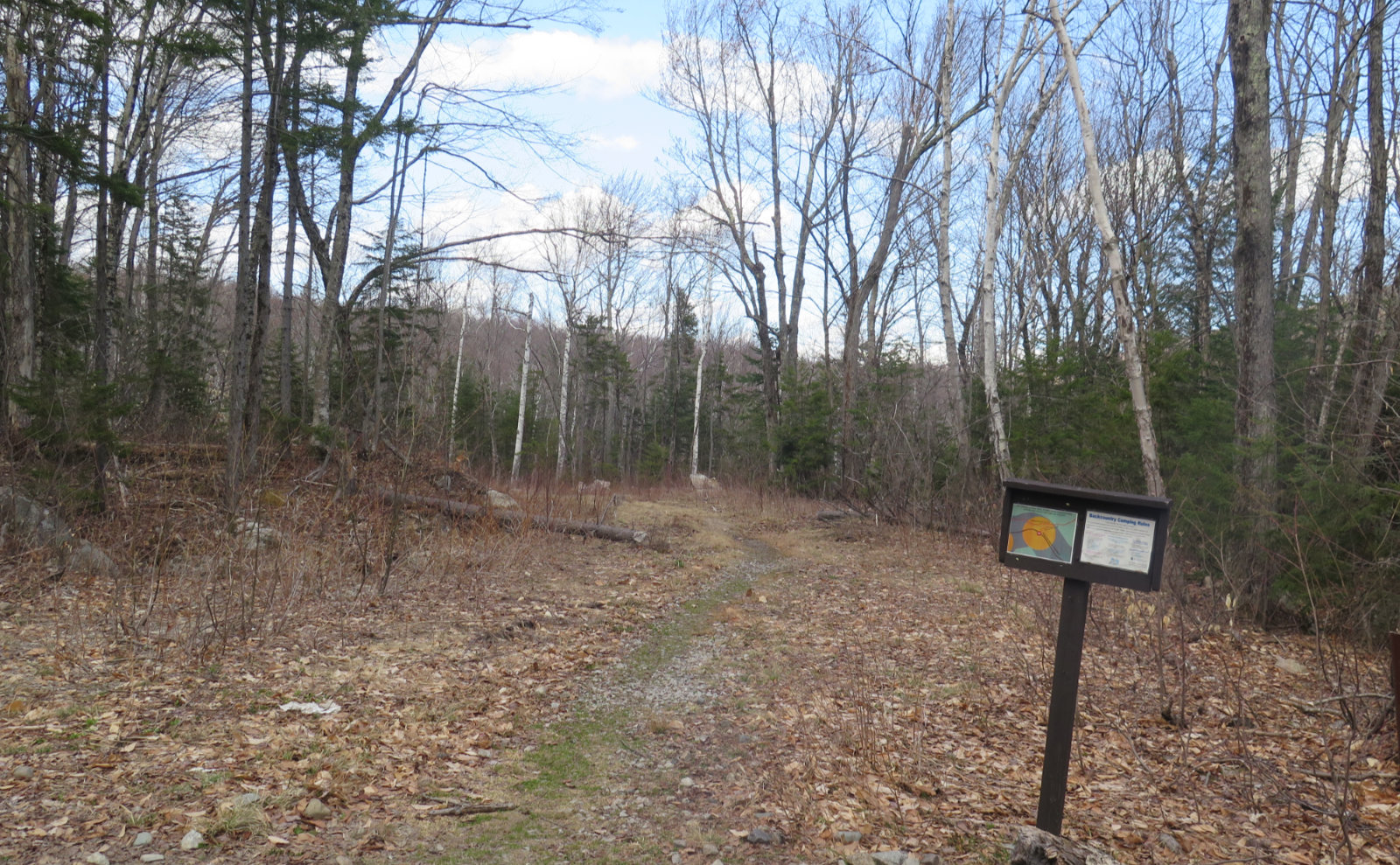 Trip Report A Hike on the Sawyer River Trail Protean Wanderer