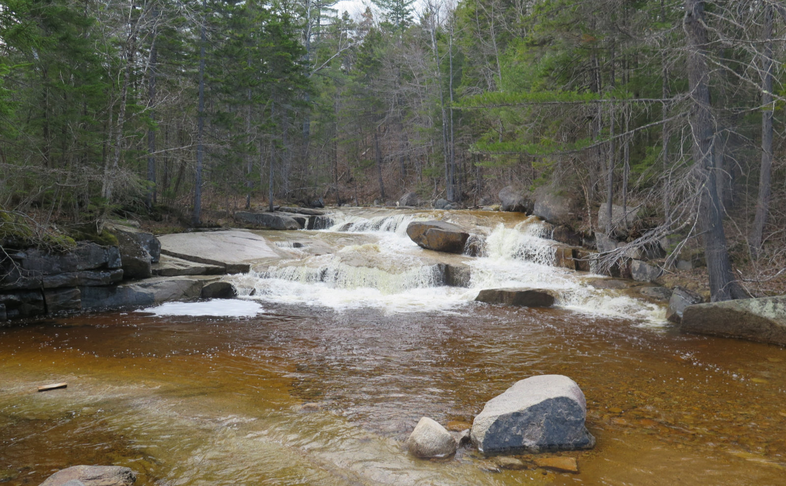 Trip Report A Hike on the Sawyer River Trail Protean Wanderer
