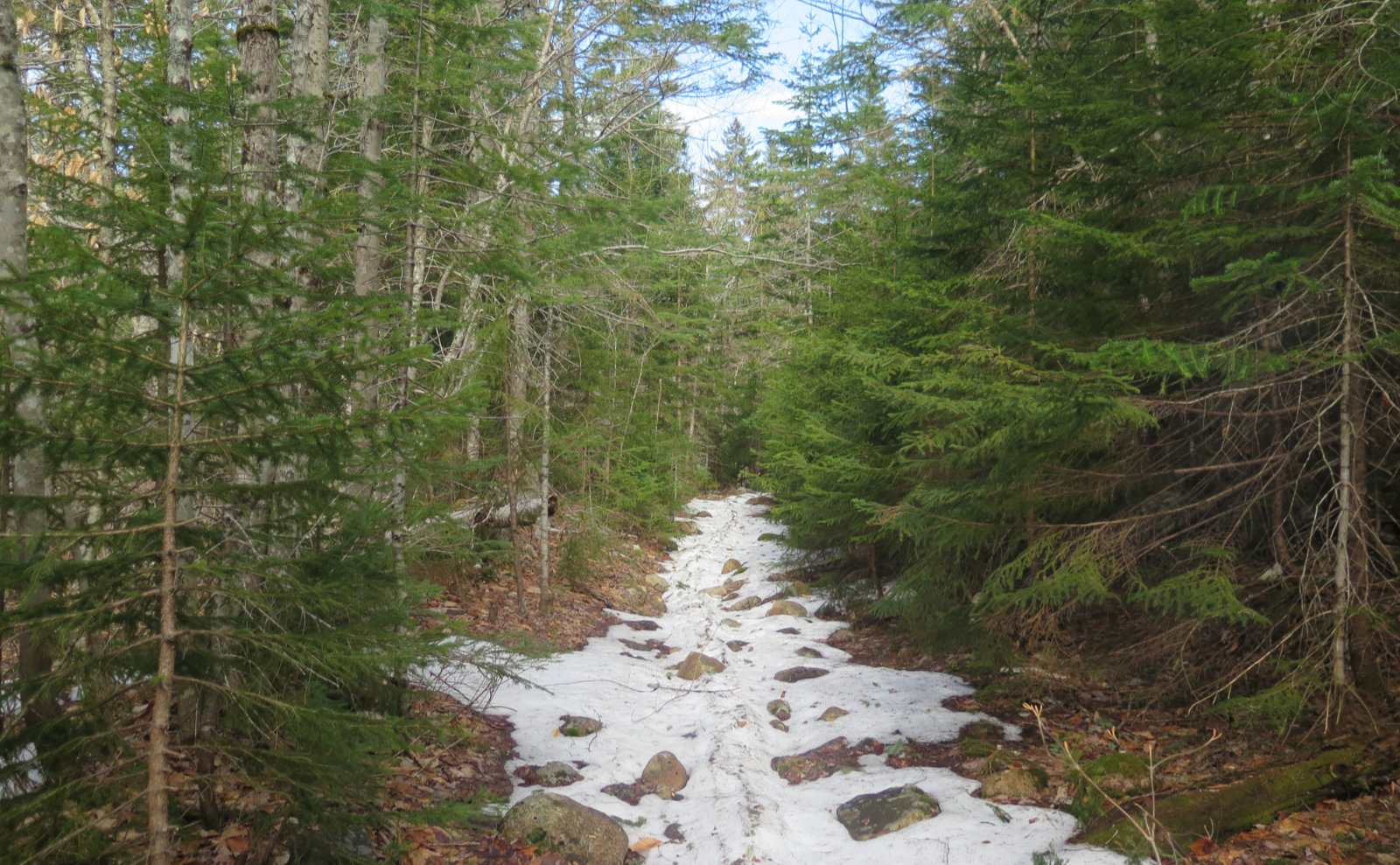 Sawyer Pond Trailhead NH