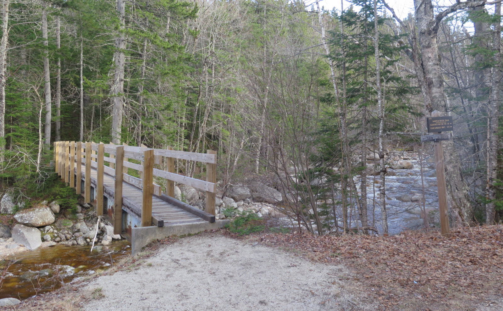 Trip Report A Hike on the Sawyer River Trail Protean Wanderer