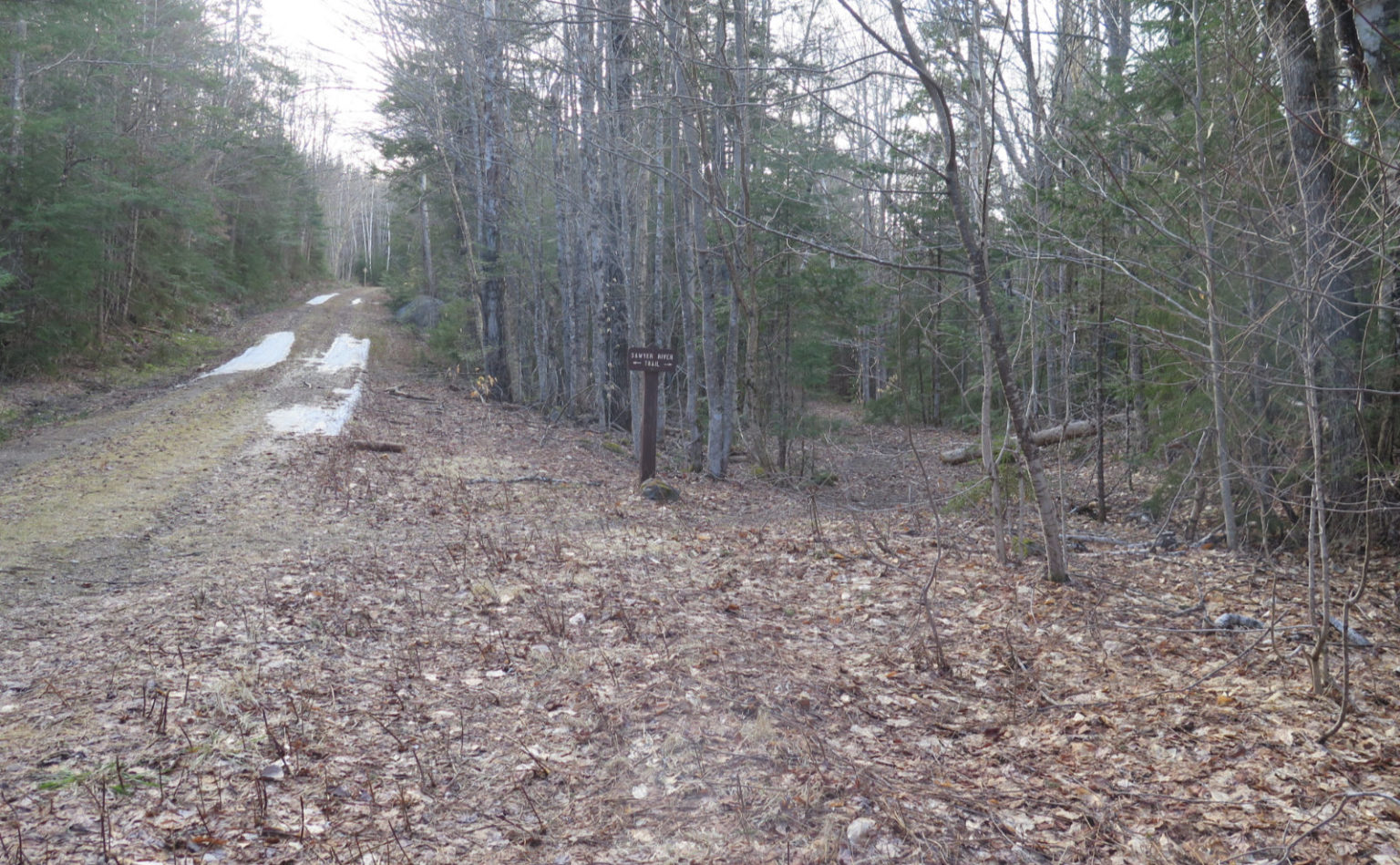 Trip Report A Hike on the Sawyer River Trail Protean Wanderer