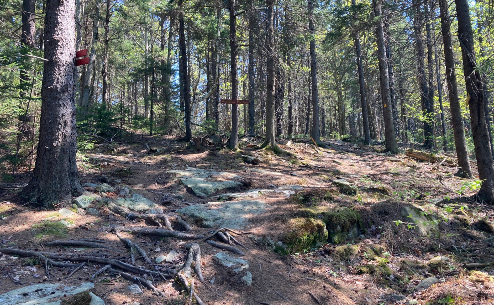 New Ipswich Mountain NH