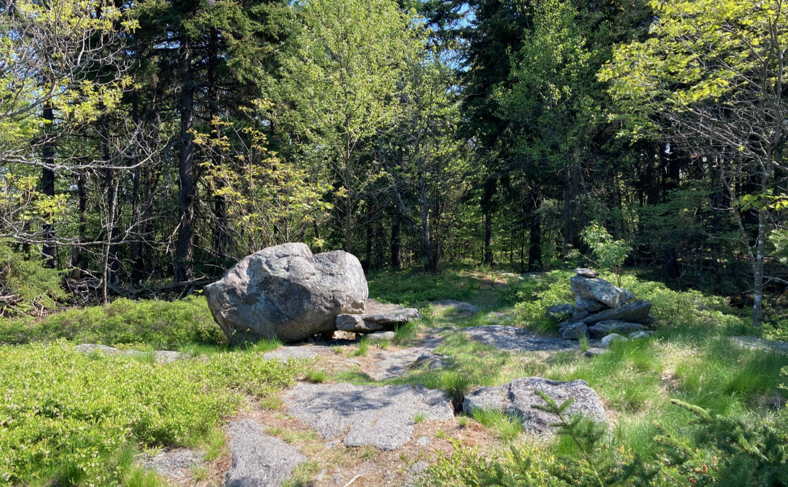 New Ipswich Mountain NH