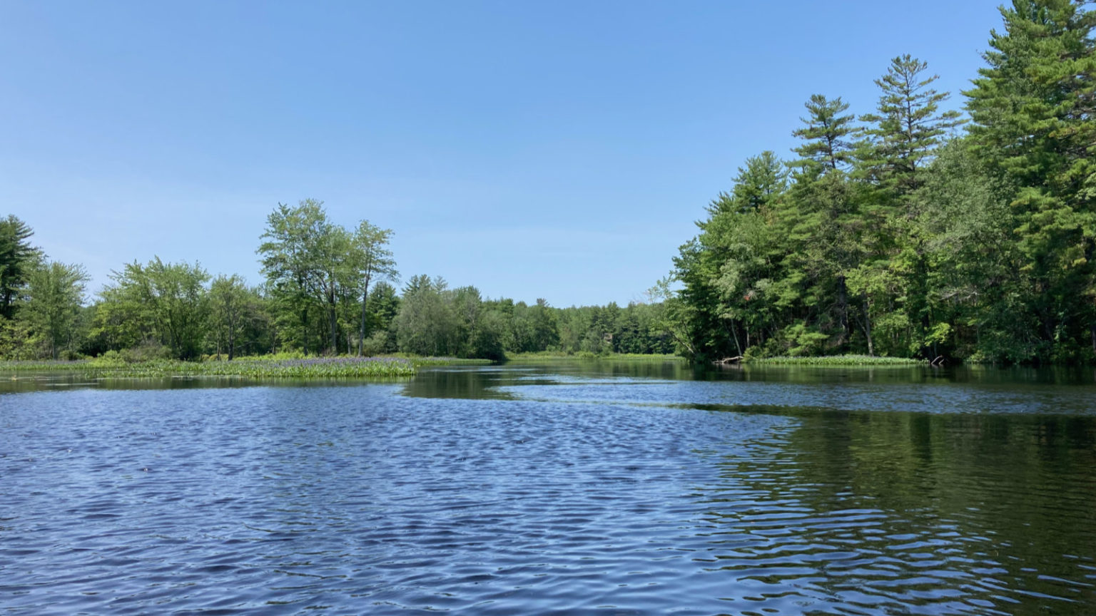 Kayaking Powder Mill Pond Protean Wanderer