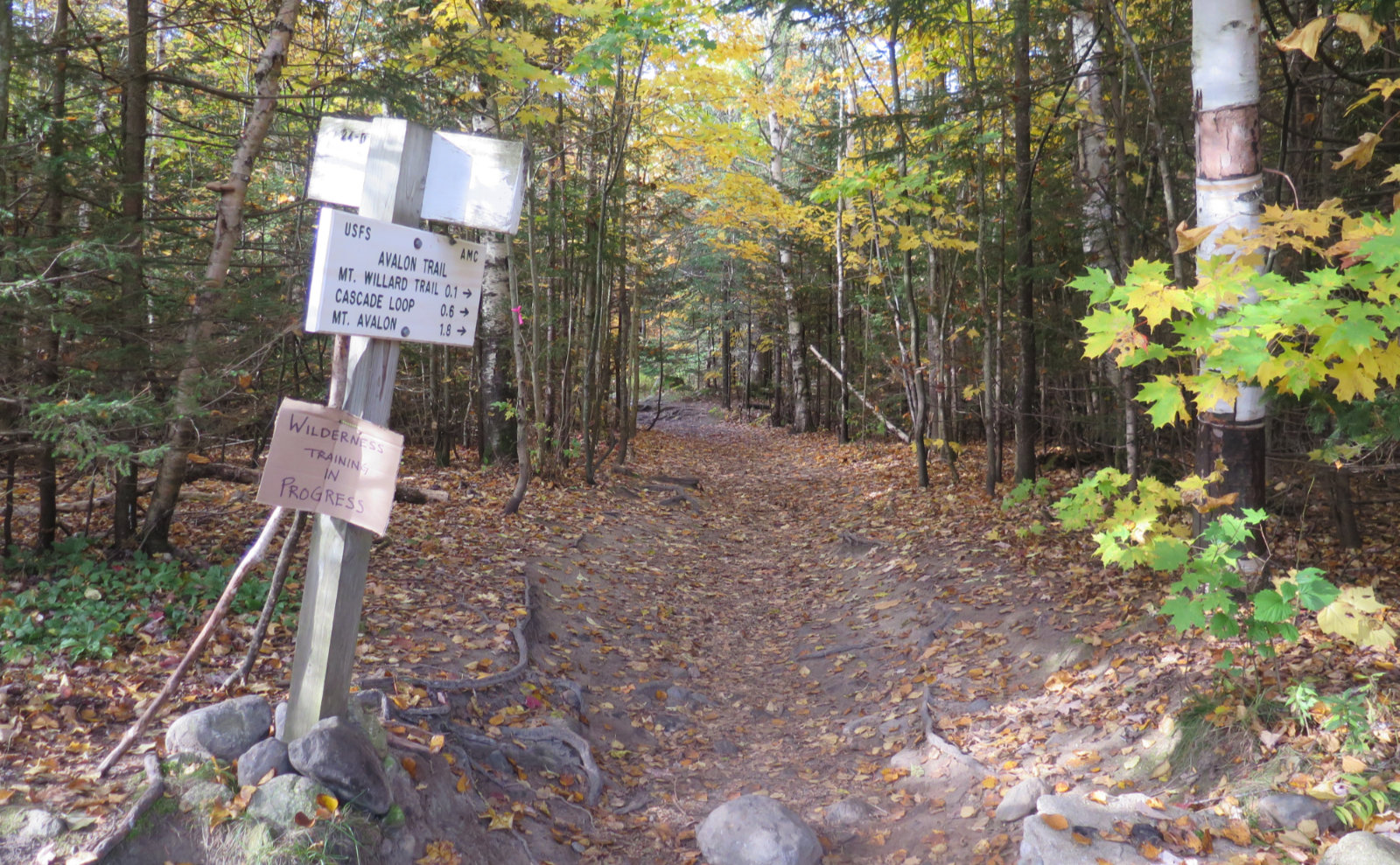 Trip Report Is Tom, Field, Willey a hard hike? Protean Wanderer