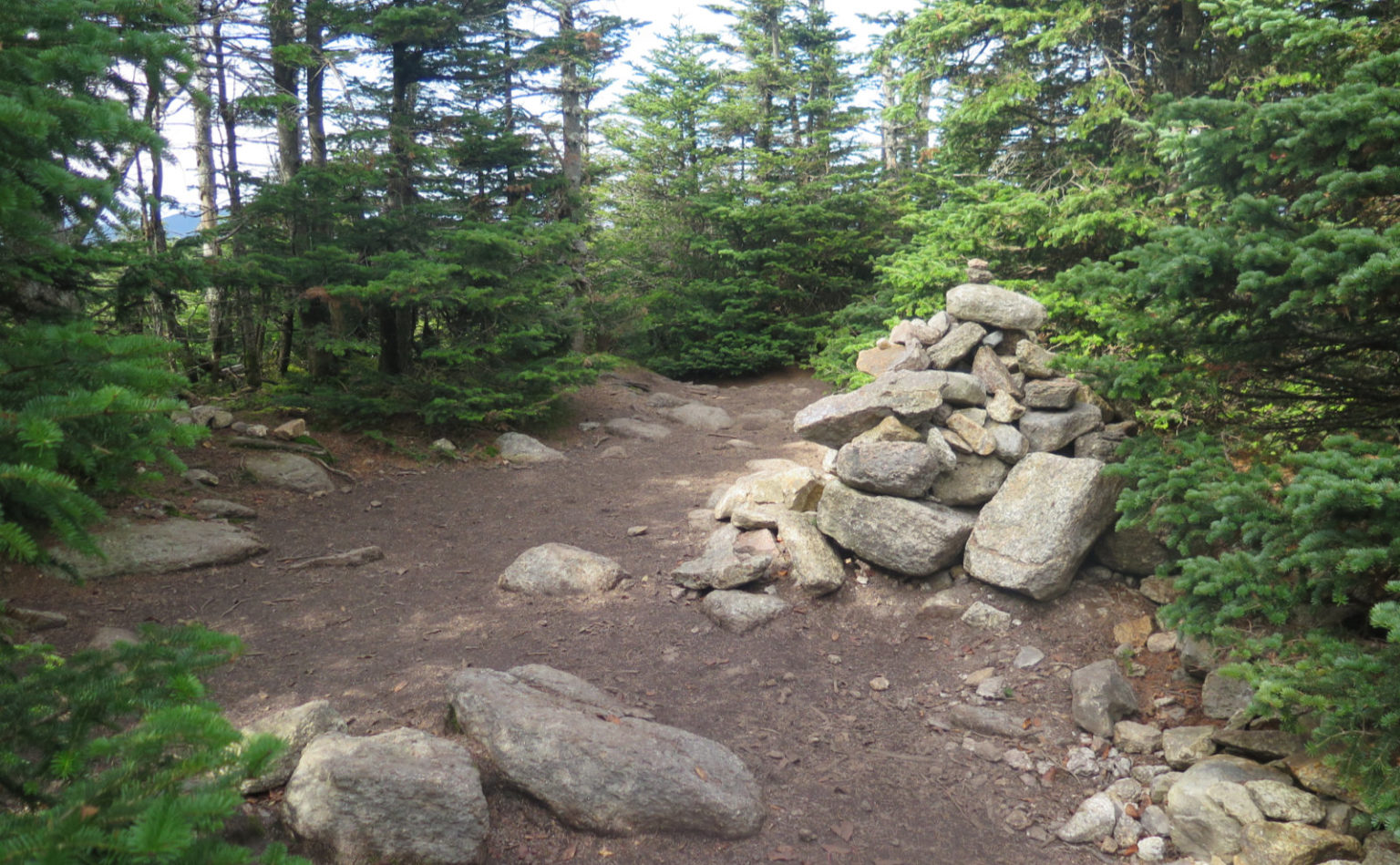 Trip Report Is Tom, Field, Willey a hard hike? Protean Wanderer