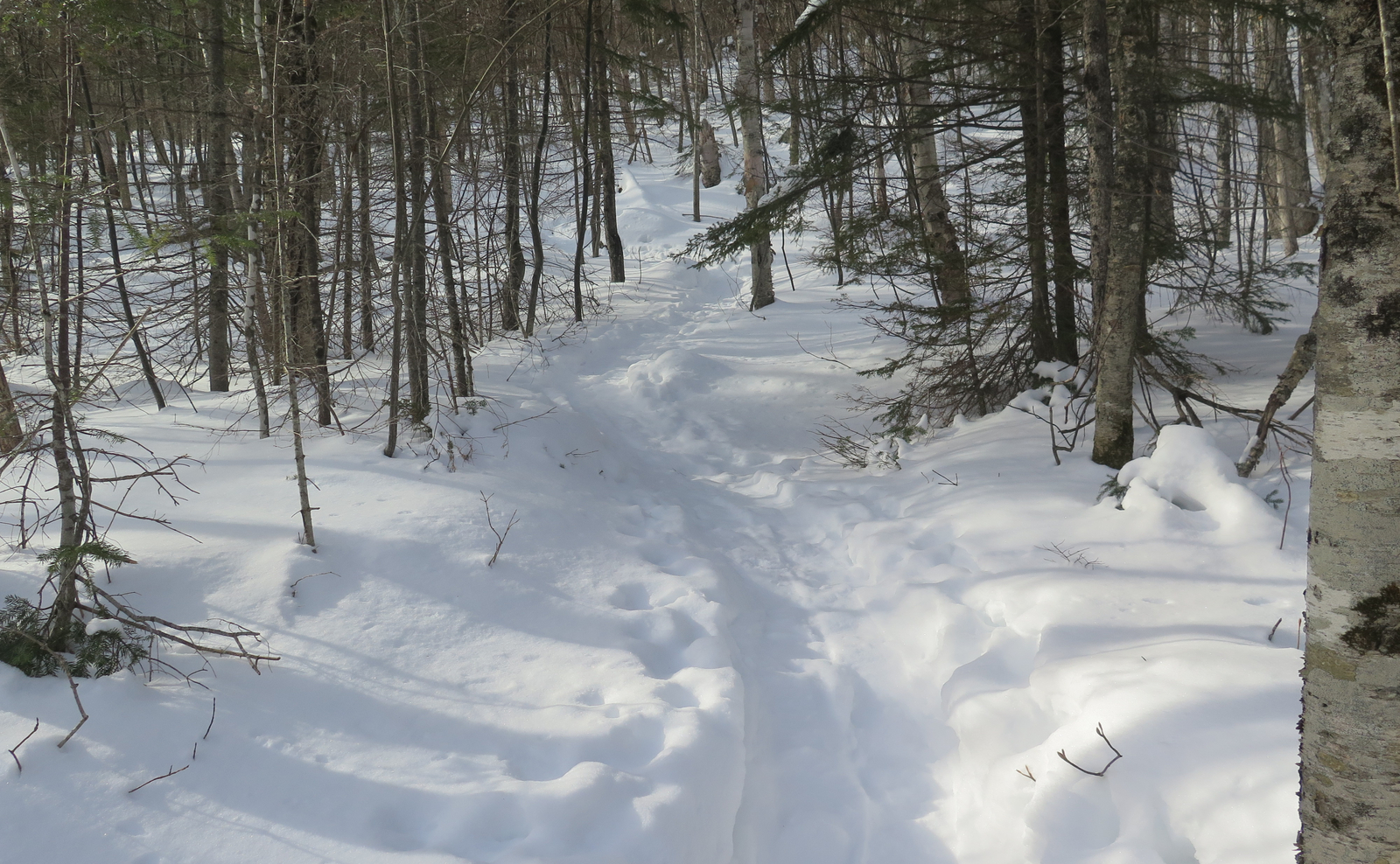 Mount Isolation NH