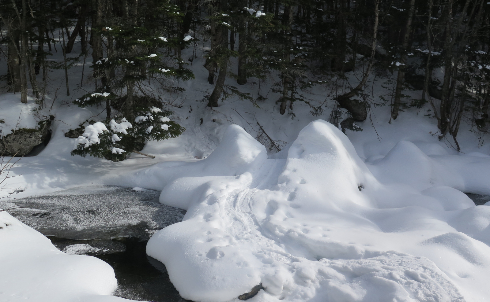 Trip Report Is Mt Isolation always this crowded in winter? Protean Wanderer