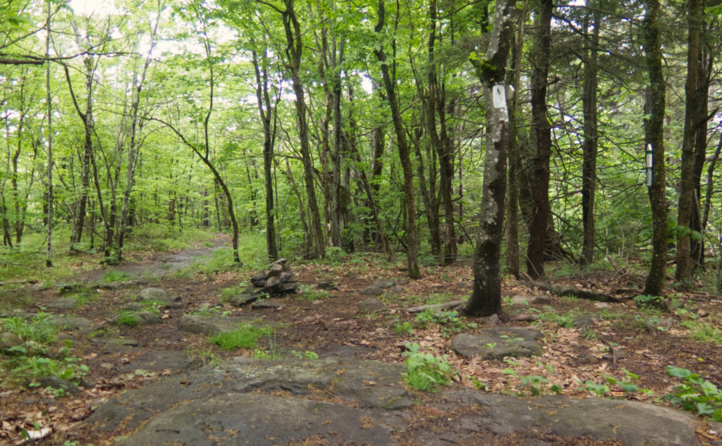 Summit of Mt Rowe. 