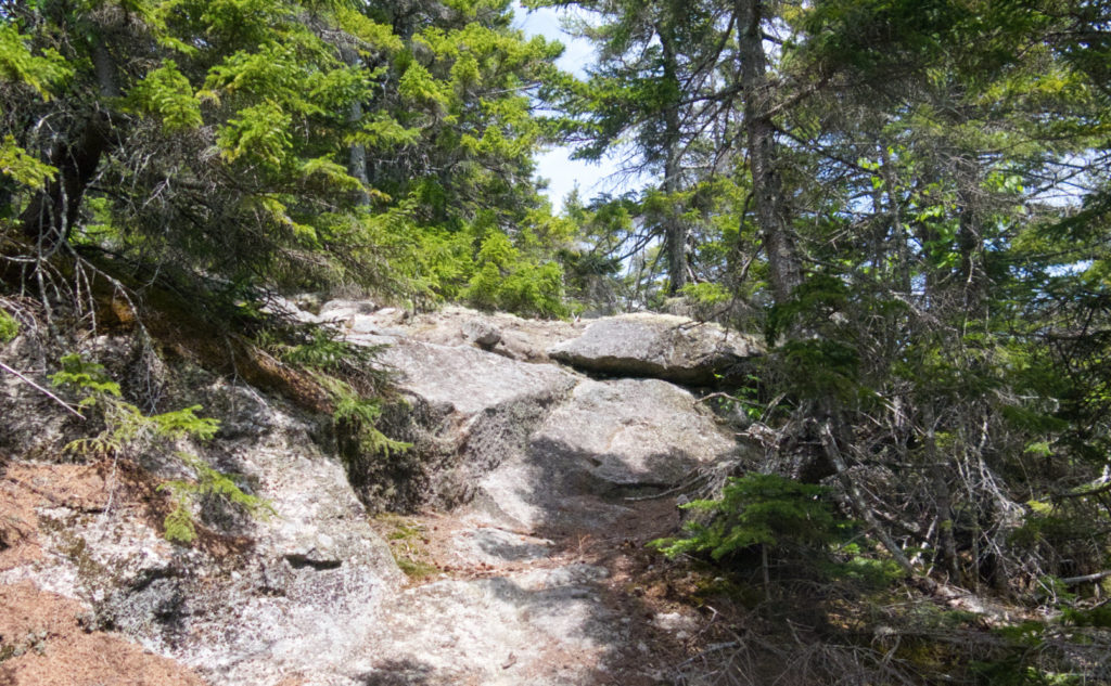 Higher up, many ledges. Some with what should have been stellar views. 