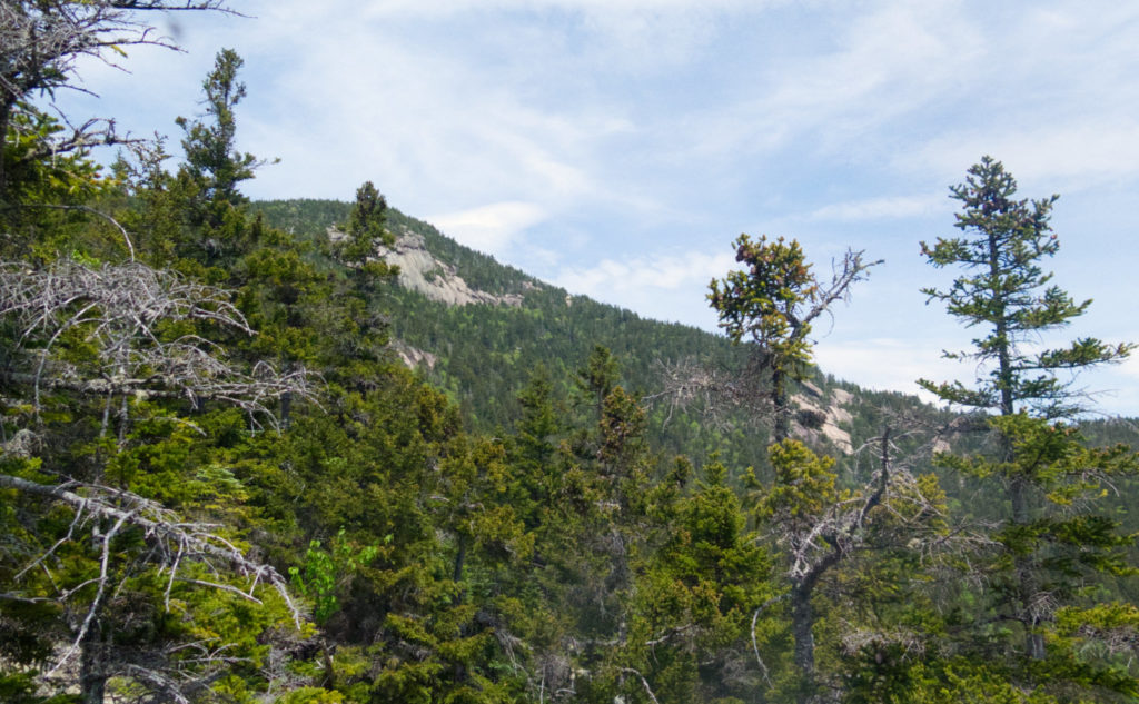 Looking across at the ledges. 